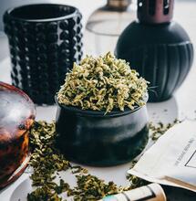 Higher consumption rates of medical cannabis in UK than Europe